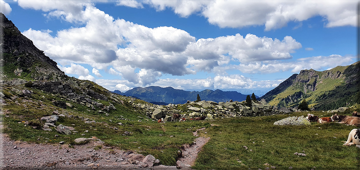 foto Forcella di Val Moena